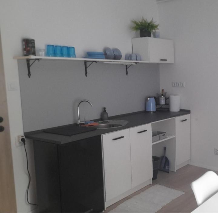 Apartman Centro Česká Lípa المظهر الخارجي الصورة